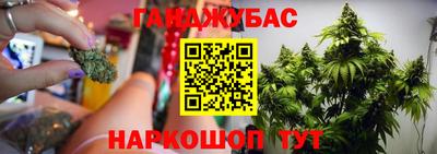 стафф Новодвинск