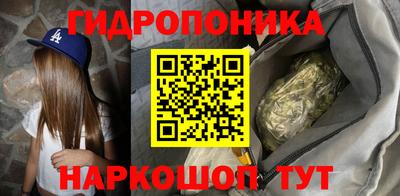 стафф Новодвинск