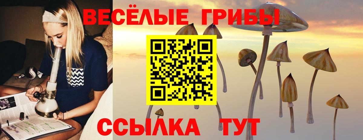 Псилоцибиновые грибы ЛСД Таганрог